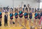 Muestra anual de Gimnasia Artística