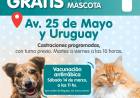 Vacunación de Mascotas