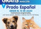 Vacunación y Castración de mascotas
