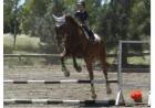 La Rural Equitación participó de un Encuentro de Salto