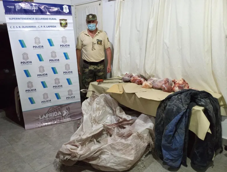 Esclarecen abigeato en un campo en límite con Pringles