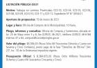 Licitación Pública MCP