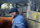 Sarna bovina: qué es y cómo tratarla
