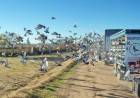 Colombófilas: Los ganadores fueron, Rosendo Sosa en el Mixto y Adalberto Aguirrezabala en Pichones