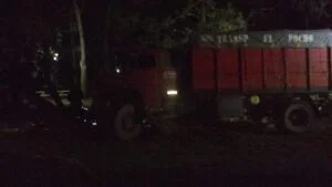 Un camión chocó de lleno contra una columna de alumbrado y una planta