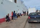 Nueva Campaña de Castraciones Masivas de perros/as en el Club Alumni