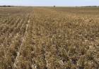 "Aún no está firmado el decreto de emergencia agropecuaria por parte del gobernador Kicillof"