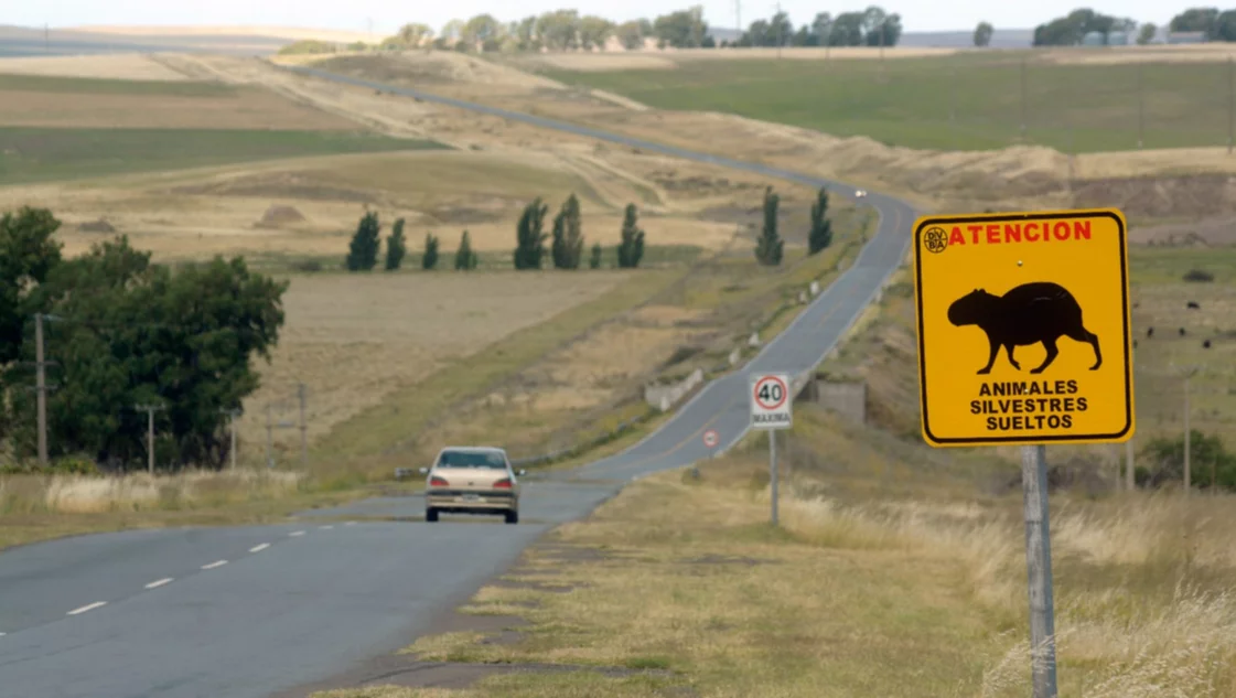 Más de $ 7,8 mil millones para licitar una ruta hasta Bahía