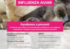 Gripe Aviar: Medidas de Prevención