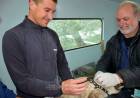 Campaña masiva: Más de 400 animales vacunados