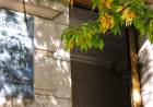 Coronel Pringles: Condenan a un exhibicionista