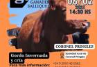 Remate de Ganadera Salliqueló