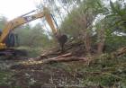 Limpieza del cauce del Arroyo Pillahuincó