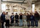 Estudiantes de visita al Museo