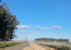 Mantenimiento y alteo de caminos