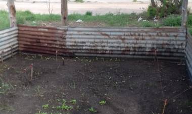 "Las huertas están en distintos puntos de avances"