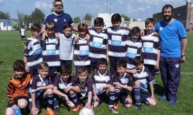 Liga Pringles de Fútbol