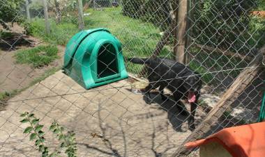 Una Tenencia Responsable digna de imitar