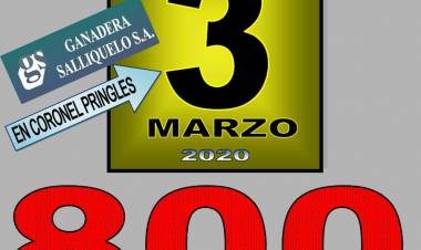 Remate de Ganadera Salliqueló S. A. en Coronel Pringles