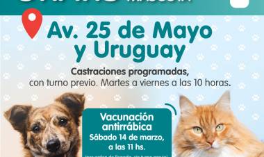 Vacunación de Mascotas