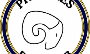 Pedido de Publicación