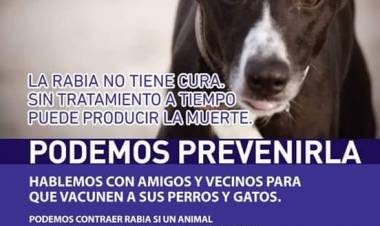 Vacunación antirrábica para perros y gatos, gratuita y masiva