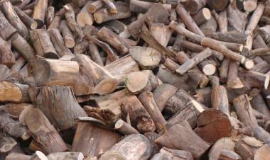 La leña se reparte mañana