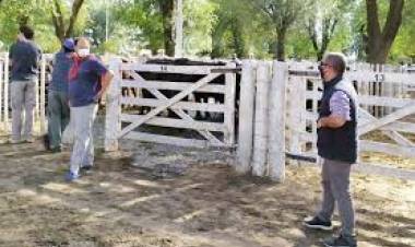 "Fue un remate ágil"