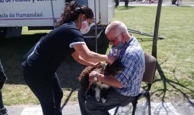Ciudad: Campaña masiva y gratuita de vacunación antirrábica