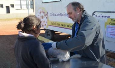 En noviembre el Castrador Móvil continuará en Plaza San Martín