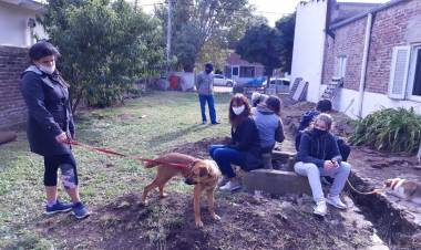 Hubo vacunaciones y castraciones en Indio Rico