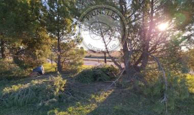 Imágenes que no nos gusta ver en el Club