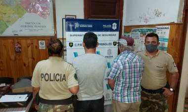 Dos aprehendidos por abigeato: llevaban ocho corderos en una camioneta