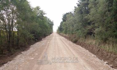 Caminos Provinciales