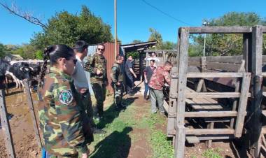 CPR: Liberan vacunos que habían sido secuestrados