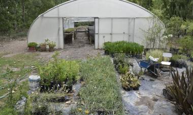 El Vivero Municipal Las Achiras se encuentra se encuentra funcionando a pleno