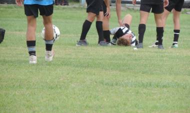 Fallos dictados por el Tribunal de Disciplina Deportiva