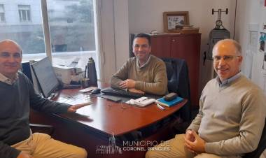 Gestiones: Pavimento y Plazas
