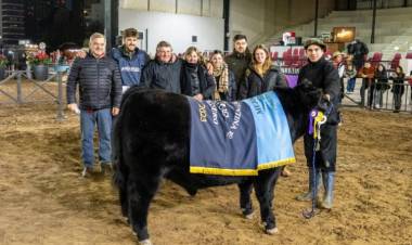 Cabaña Santa Rosa de Indio Tico con premio