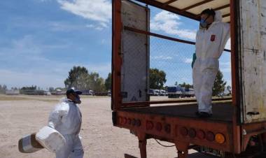 HCD: Propone la creación de un control municipal de los agroquímicos utilizados y vendidos en nuestro distrito