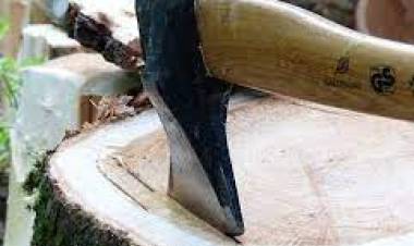 Banco de Leña: Finalizó la entrega anual