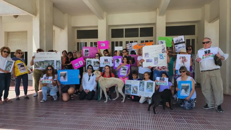 "Ir a la perrera es volver llorando"