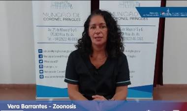 HCD: Repudio al atentado a Vera Barrantes