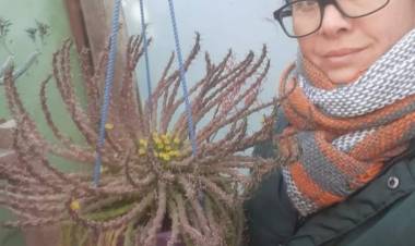 Melisa Sanabria nominada al premio Lia Encalada 2024