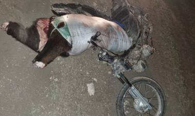 Pringles: Prisión preventiva para el hombre detenido por matar dos vacas de un campo y llevarse la carne en moto