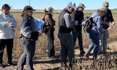 Pringles: Ensayo de estudiantes de la UPSO local
