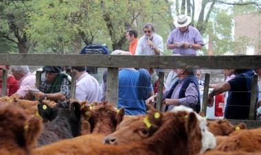 Ganadera Salliqueló rematará en la Expo Rural de Pringles