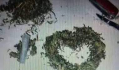 Coronel Pringles: Dos personas fueron detenidas por comercializar marihuana