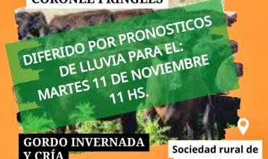 Remate diferido por lluvia en Pringles