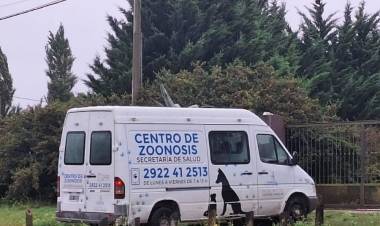 Vacunación antirrábica en anillo: resultados de los últimos operativos